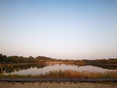 -东郊湿地公园