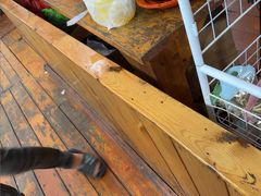 -蓝湾碧波·老字号·疍家非遗海上餐厅