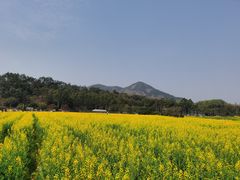 -红山村