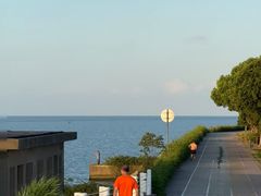 -贡湖湾湿地公园