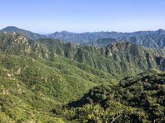 -大岭沟猕猴桃谷风景区