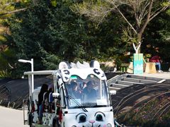 -青藏高原野生动物园