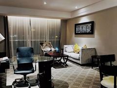 -上海浦东国际旅游度假区绿地铂骊酒店