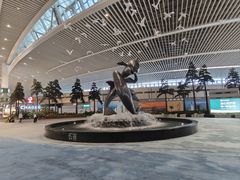 -青岛胶东国际机场