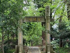 -上海佘山国家森林公园天马山园