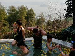 -天目湖涵田半山温泉
