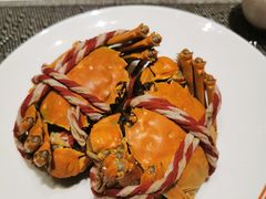 -张江海科雅乐轩聚聚乐