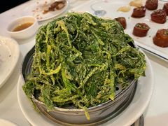 -金春禧(世茂国际广场店)