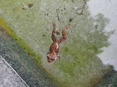 -华凌山庄·隐湖栖