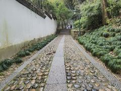 -杭州黄龙洞