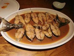特色鲅鱼-船歌·鱼水饺青岛菜(金狮广场店)