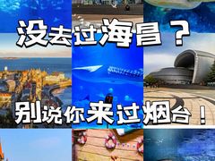 -烟台海昌鲸鲨海洋公园