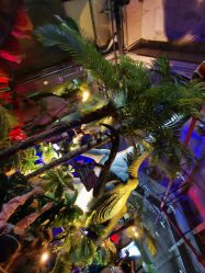 点击看大图 -恐龙探索乐园(磁器口店)