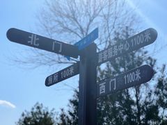 -永定河休闲森林公园