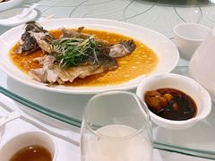 清蒸笋壳鱼-海逸海鲜酒家(古北店)