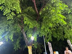 -范饭椰林川湘味海鲜·椰子鸡(三亚湾椰梦长廊店)