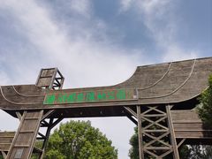 -溱湖国家湿地公园