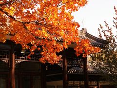 -香山公园