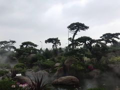 -罗红摄影艺术馆