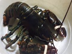 -将军关探险漂流