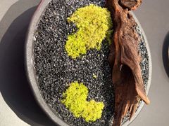 -潮汕味道·煮海餐厅(金麟大厦店)