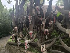 -云南民族村