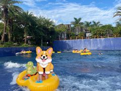 -水底山庄园温泉