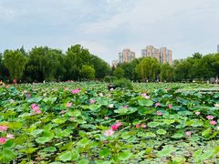 -太阳宫公园