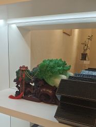 -佛山艺美医疗美容·整形·美肤·塑形