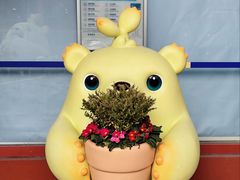 -上海农商银行(南翔支行)