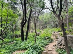 -鹫峰国家森林公园