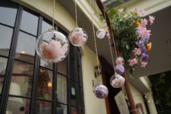 -老洋房花园饭店·宴会厅