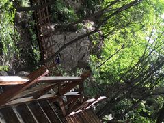 -大岭沟猕猴桃谷风景区