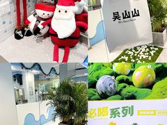 -吴山山·椰子酸奶(天河南店)