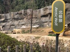 -杭州野生动物世界