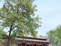 -盛世南宫影视城(北普陀影视城)