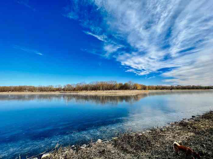 罗马湖-"罗马湖位于北京顺义后沙峪,是两个村庄在五."-大众点评移动版