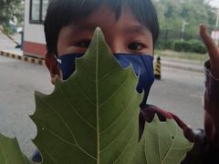 -烟台海昌鲸鲨海洋公园