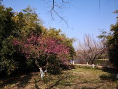 -上海海湾国家森林公园