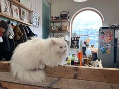 -小时光咖啡馆(开森度假森林店)