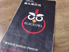-猫头鹰炸鸡