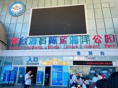 -烟台海昌鲸鲨海洋公园