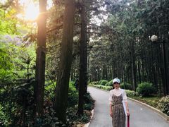 -冶父山国家森林公园