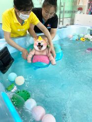 点击看大图 -趣游baby swim婴童游泳·盐氧护(旭辉u天地店)