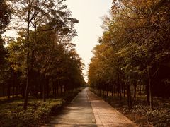 -皇粮浜公园