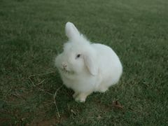 -汤山温泉房车营地 茶温泉