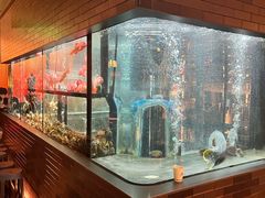 -民族饭店-四季餐厅