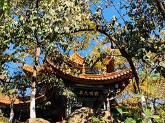 -昆明动物园