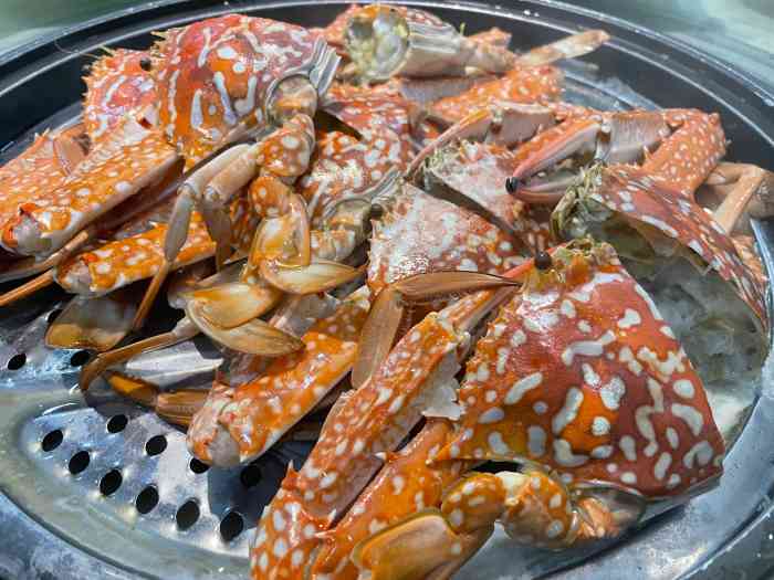 越百海海鲜蒸锅(观海店)-"味道不错,服务挺好,环境挺好的,值得去品.