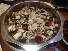 -百岁鱼(七一路店)